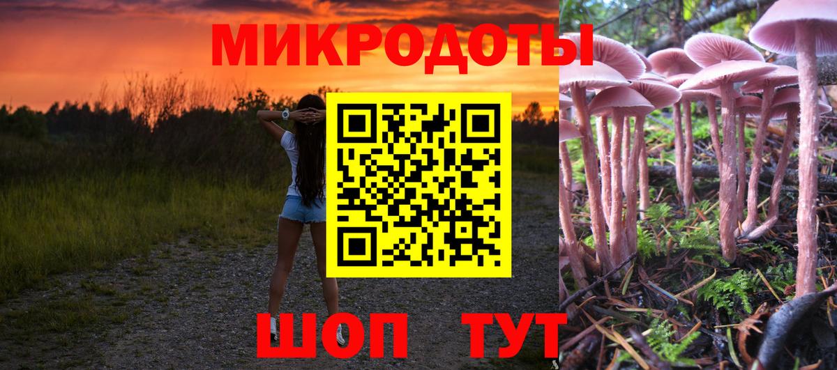 Псилоцибиновые грибы GOLDEN TEACHER  даркнет сайт  Ачхой-Мартан  Вход с VPN 